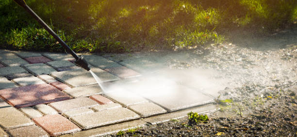 Best Solar Panel Cleaning  in Wyoming, MN